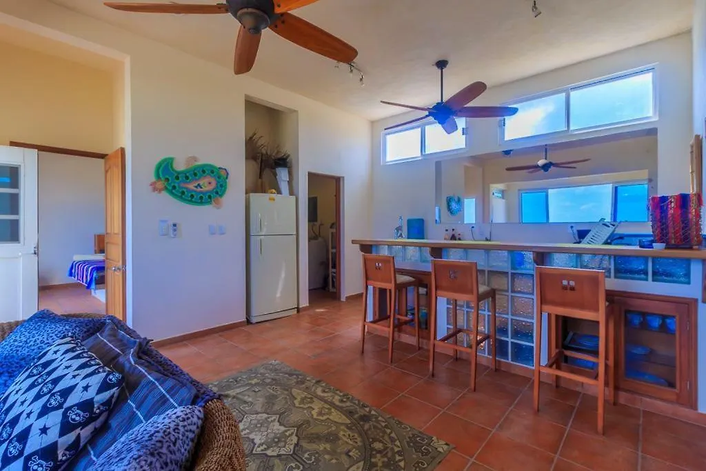 Casa Nueva Esperanza - Entire House Villa Isla Mujeres Vakantiehuis